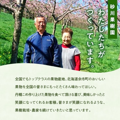 2026年7月上旬より発送　砂川果樹園が贈る もぎたて直送さくらんぼ 佐藤錦_Y033-0038