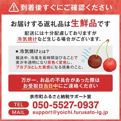 2026年7月上旬より発送　砂川果樹園が贈る もぎたて直送さくらんぼ 佐藤錦_Y033-0038