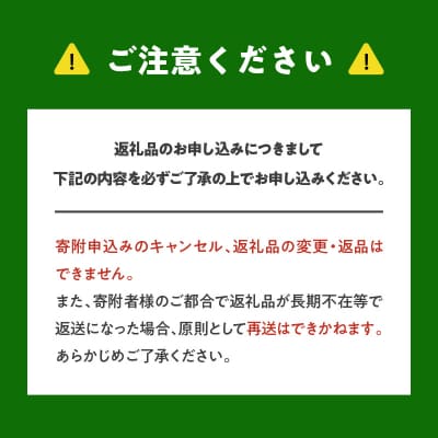 2026年7月上旬より発送　砂川果樹園が贈る もぎたて直送さくらんぼ 佐藤錦_Y033-0038