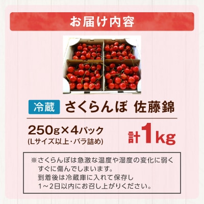 2026年7月上旬より発送　砂川果樹園が贈る もぎたて直送さくらんぼ 佐藤錦_Y033-0038