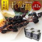 【ギフトボックス】余市産完全無添加干し葡萄DIONYSOS 12箱セット_Y050-0030