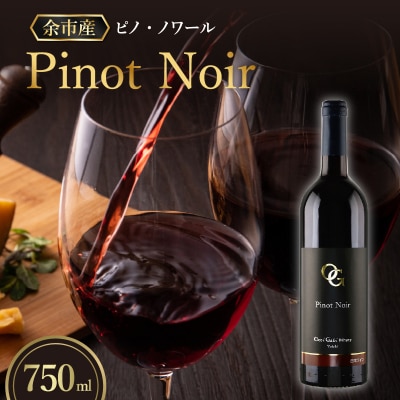 【OcciGabi Winery】 ピノ・ノワール 2021 750ml_Y012-0108