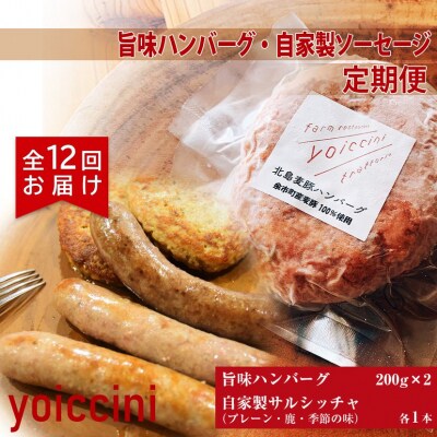 《ヨイッチーニ》旨味ハンバーグ・自家製ソーセージ定期便 全12回_Y020-0014