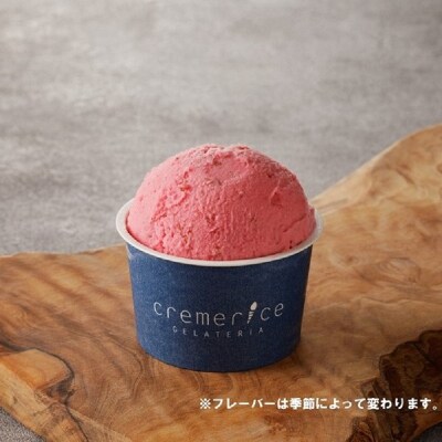 【隔月定期便6回】プレミアムジェラートセット合計36個 90ml×6個×隔月6回_Y032-0002