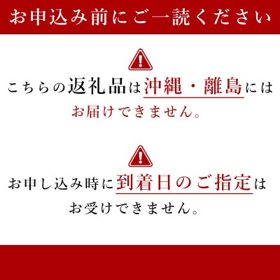 【先行受付:2024年8月下旬以降発送】デラウェア 数量限定  約2kg_Y067-0039