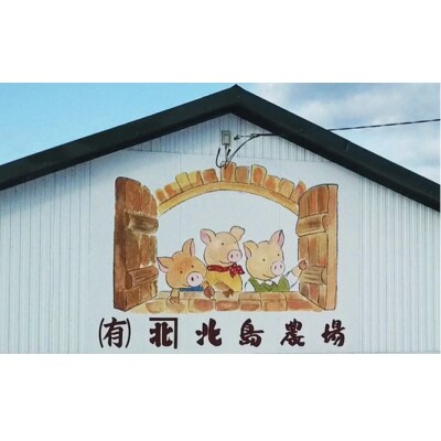 【北島麦豚】しゃぶしゃぶモモ 800g 簡易包装 _Y049-0034