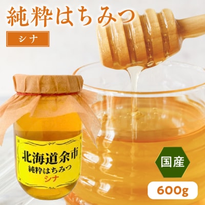 純粋 はちみつ シナ 600g 国産_Y057-0006