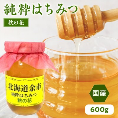 純粋 はちみつ 秋の花 600g 国産_Y057-0005