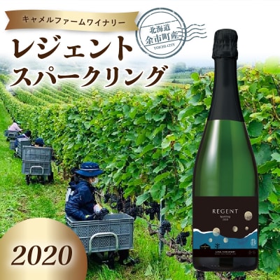 レジェントスパークリング2020&lt;キャメルファームワイナリー&gt;_Y020-0365