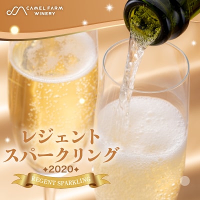 レジェントスパークリング2020<キャメルファームワイナリー>_Y020-0365