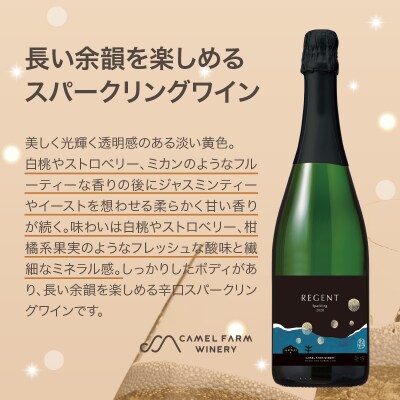 レジェントスパークリング2020<キャメルファームワイナリー>_Y020-0365