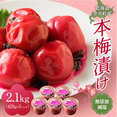 本梅漬け 420g×5パック 北海道産 無添加_Y011-0004