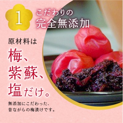 本梅漬け 420g×5パック 北海道産 無添加_Y011-0004