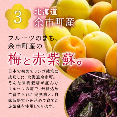 本梅漬け 420g×5パック 北海道産 無添加_Y011-0004