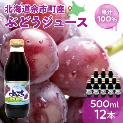風味豊かな余市産ぶどう100%ジュース500ml×12本セット_Y018-0062