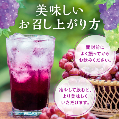 ぶどうジュース500ml×12本セット　ストレート　北海道産_Y018-0035