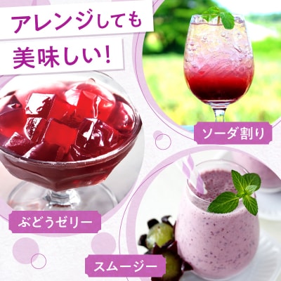 風味豊かな余市産ぶどう100%ジュース500ml×12本セット_Y018-0062