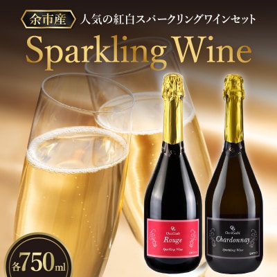 中古 NISHIZAWA/ニシザワ スキー板 156㎝ [1-1197] ◇送料無料