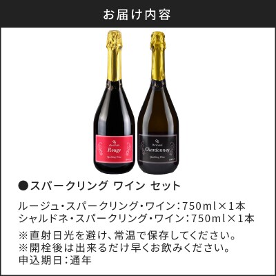 人気の紅白スパークリング・ワイン・セット_Y012-0101