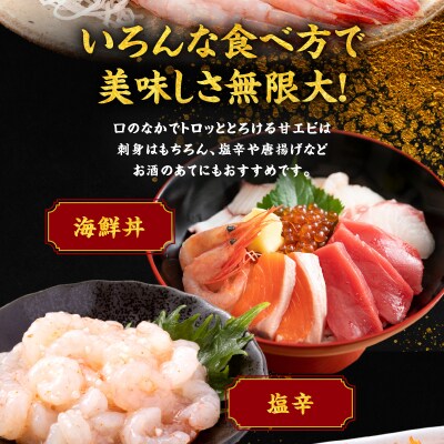 冷凍ホッコクアカエビ(甘エビ)500g×2_Y006-0024
