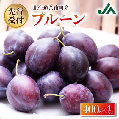 【2025年9月上旬以降発送分先行受付】プルーン 400g×4パック_Y010-0443