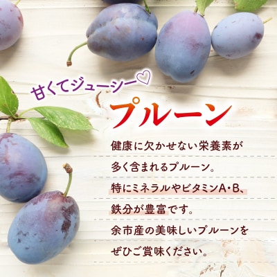 【2026年9月上旬発送分先行予約】プルーン 400g×4パック_Y010-0526