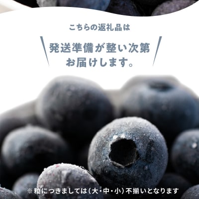 冷凍ブルーベリー 250g×4パック 北海道余市町産_Y010-0344