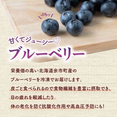 冷凍ブルーベリー 250g×4パック 北海道余市町産_Y010-0344