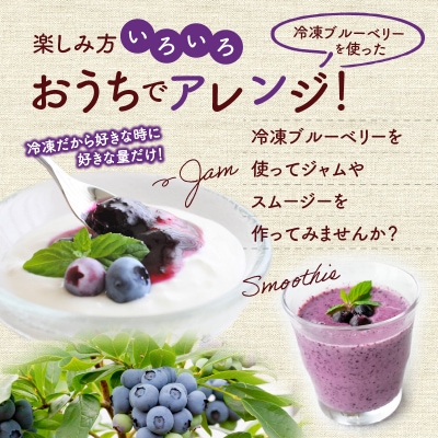 冷凍ブルーベリー 250g×4パック 北海道余市町産_Y010-0344
