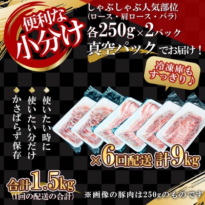【定期便全6回】北島ワインポークしゃぶしゃぶ人気部位食比べセット_Y067-0035