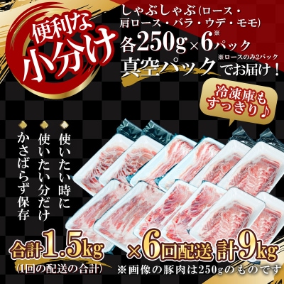 【定期便全6回】 北島ワインポークしゃぶしゃぶ全部位食べ比べセット 全計9kg_Y067-0037
