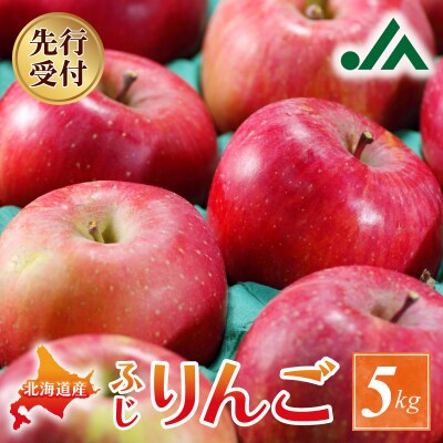 【先行受付:2026年11月下旬以降発送分】りんご (ふじ)  5kg_Y010-0659