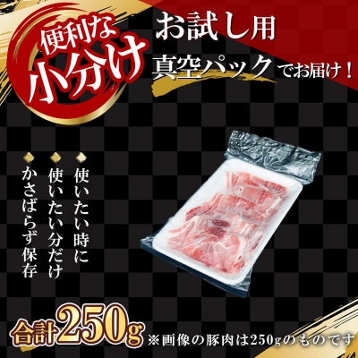 【農場直送】北島ワインポーク　お試し切り落とし【小分け】_Y067-0057
