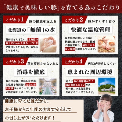 【農場直送】北島ワインポーク　お試し切り落とし【小分け】_Y067-0057