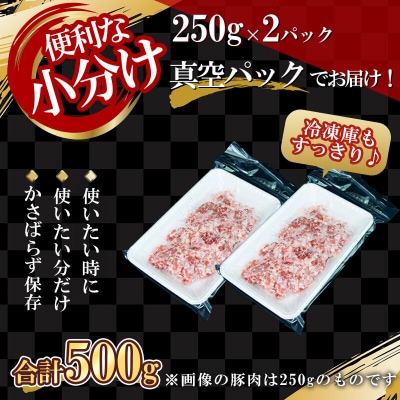 【農場直送】北島ワインポーク　お試し挽き肉セット【小分け】_Y067-0058
