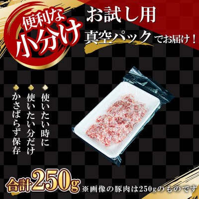 【農場直送】北島ワインポーク　お試しひき肉【小分け】_Y067-0059