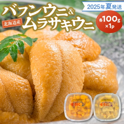【2025年夏発送】塩水ウニ【バフンウニ&ムラサキウニ】各100g×1パック_Y037-0324