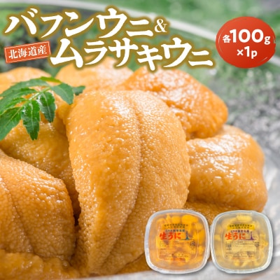 【2027年夏発送】塩水ウニ【バフンウニ&ムラサキウニ】各100g×1パック_Y037-0358