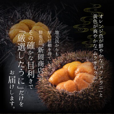 【2025年夏発送】塩水ウニ【バフンウニ&ムラサキウニ】各100g×1パック_Y037-0324