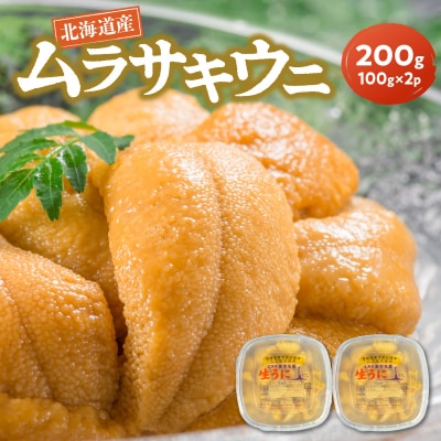 【2027年夏発送】塩水ウニ【ムラサキウニ】 100g×2パック 計200g_Y037-0357