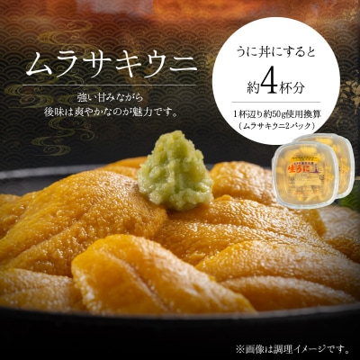 【2027年夏発送】塩水ウニ【ムラサキウニ】 100g×2パック 計200g_Y037-0357