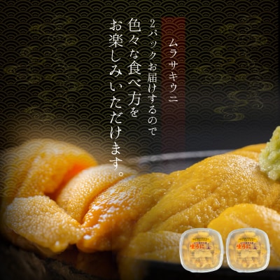 【2027年夏発送】塩水ウニ【ムラサキウニ】 100g×2パック 計200g_Y037-0357