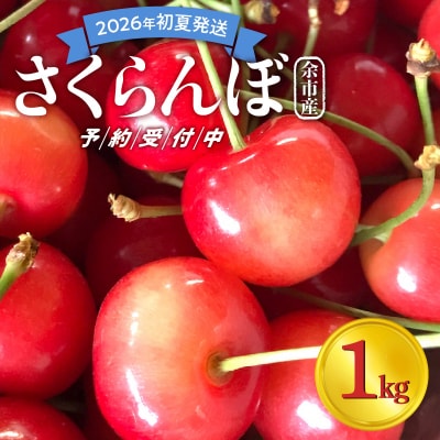 【先行受付:2026年初夏発送】さくらんぼ 東谷農園 余市産 さくらんぼ 1kg_Y037-0347