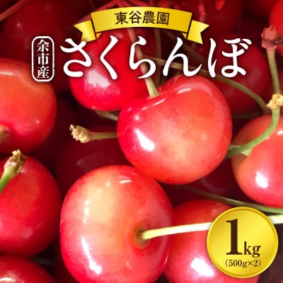【先行受付:2027年初夏発送】さくらんぼ 東谷農園 余市産 さくらんぼ 1kg_Y037-0347