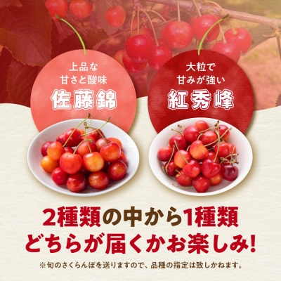 【先行受付:2027年初夏発送】さくらんぼ 東谷農園 余市産 さくらんぼ 1kg_Y037-0347