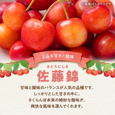 【先行受付:2027年初夏発送】さくらんぼ 東谷農園 余市産 さくらんぼ 1kg_Y037-0347