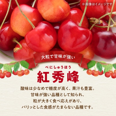 【先行受付:2027年初夏発送】さくらんぼ 東谷農園 余市産 さくらんぼ 1kg_Y037-0347