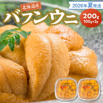 【2026年夏発送】塩水ウニ【バフンウニ】 100g×2パック 計200g_Y037-0345