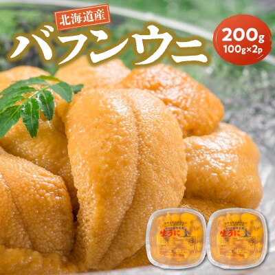 【2027年夏発送】塩水ウニ【バフンウニ】 100g×2パック 計200g_Y037-0360