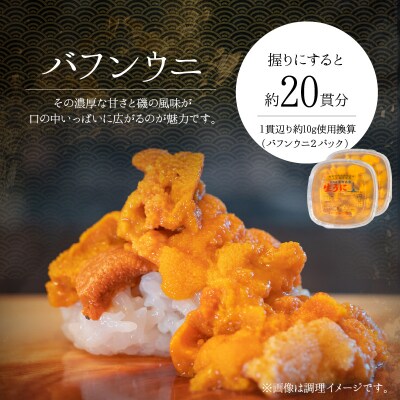 【2027年夏発送】塩水ウニ【バフンウニ】 100g×2パック 計200g_Y037-0360